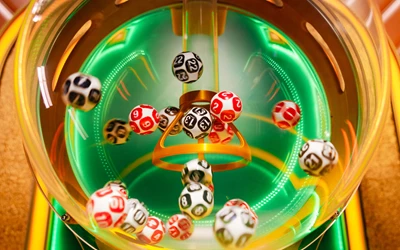 24D Spin
